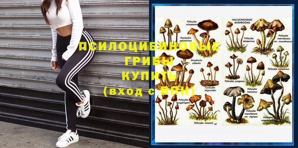 apvp Абинск
