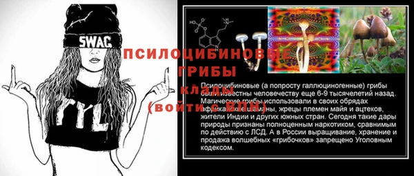 apvp Абинск