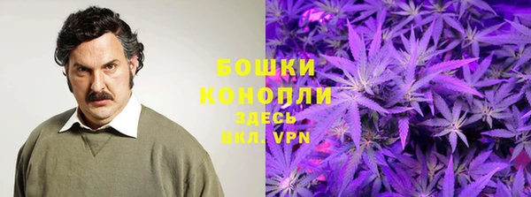 ГАЛЛЮЦИНОГЕННЫЕ ГРИБЫ Алзамай